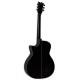 LTD A-300E BLK гитара электроакустическая, черная