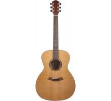 Baton Rouge AR21C/A акустическая гитара