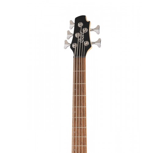 Cort Action Bass V Plus BK Бас-гитара 5-ти струнная, черная