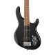 Cort Action Bass V Plus BK Бас-гитара 5-ти струнная, черная
