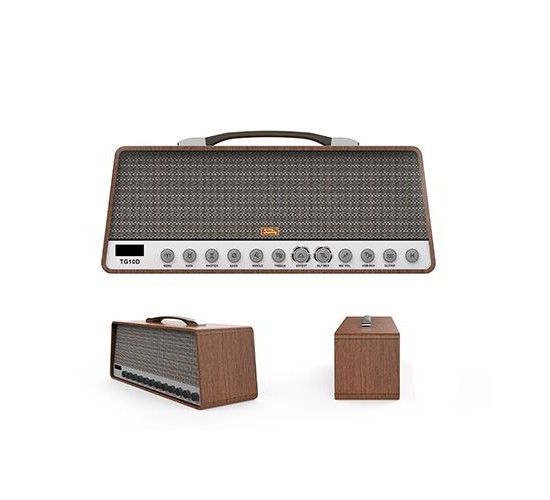 Soundking TG10D Комбоусилитель гитарный с цифровыми эффектами и USB, 20Вт