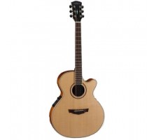 Parkwood PW-470 NS электроакустическая гитара с чехлом