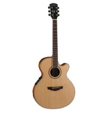 Parkwood PW-470 NS электроакустическая гитара с чехлом