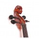 Gliga B-C034-L Beginer Genial 2 Nitro Laminated Виолончель 3/4