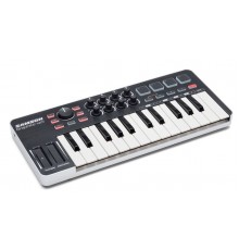 Samson Graphite M25 MIDI-клавиатура