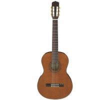 Aria A-20 классическая гитара