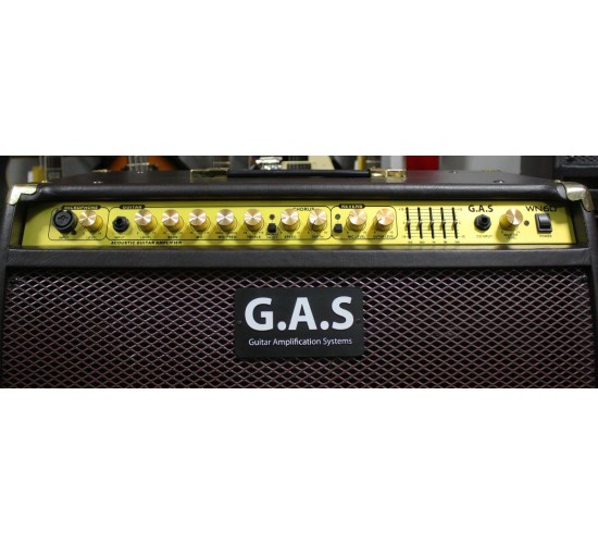 G.A.S. WN60 комбоусилитель для акустической гитары USED