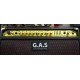 G.A.S. WN60 комбоусилитель для акустической гитары USED