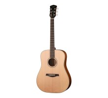 Parkwood S21-GT акустическая гитара, дредноут, с чехлом, глянец