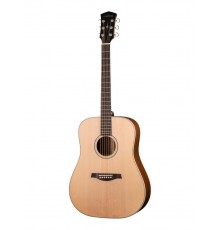Parkwood S21-GT акустическая гитара, дредноут, с чехлом, глянец