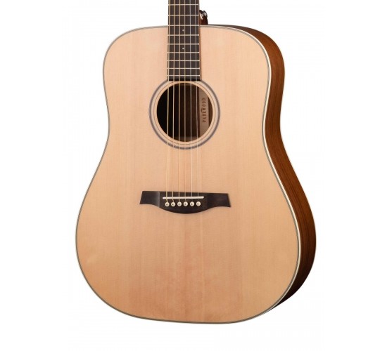 Parkwood S21-GT акустическая гитара, дредноут, с чехлом, глянец