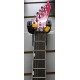 Grass Roots ESP G-HR-72QM электрогитара, цвет Thru Pink, Корея USED