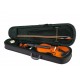 Fleet FLT-VP4/4 Скрипка ученическая в комплекте