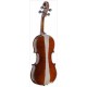 Stagg VN-4/4-SB скрипка 4/4, цвет санберст с футляром