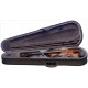 Stagg VN-4/4-SB скрипка 4/4, цвет санберст с футляром