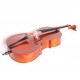 Gliga B-C012-L Beginer Genial 2 Nitro Laminated Виолончель 1/2