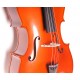 Gliga B-C012-L Beginer Genial 2 Nitro Laminated Виолончель 1/2