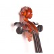 Gliga B-C012-L Beginer Genial 2 Nitro Laminated Виолончель 1/2