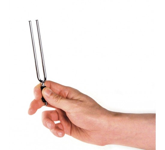 Planet Waves PWTF-A Tuning Fork Камертон вилка, строй ля (А)