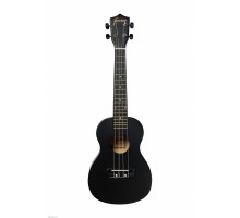 Terris TTC 1 BK укулеле концерт, черный