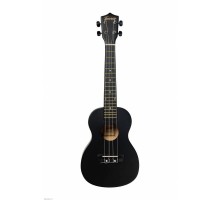Terris TTC 1 BK укулеле концерт, черный