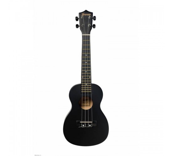 Terris TTC 1 BK укулеле концерт, черный