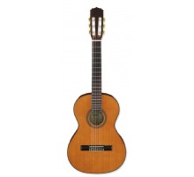 Aria A-20-58 классическая гитара