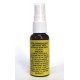 Easy Fix EF-L06530 (EF65) Лимонное масло для накладки грифа, 30мл