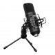 Cascha HH-5050U Студийный USB конденсаторный микрофон