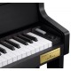 Casio Celviano GP-310BK цифровое фортепиано