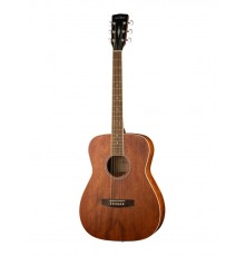 Parkwood PF51M-OP акустическая гитара с чехлом