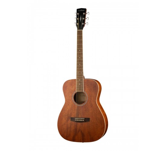 Parkwood PF51M-OP акустическая гитара с чехлом