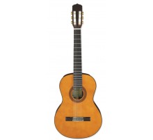 Aria A-30S N классическая гитара
