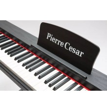 Pierre Cesar DP-121-T-BK цифровое фортепиано, 88 клавиш, черное