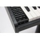 Pierre Cesar DP-121-T-BK цифровое фортепиано, 88 клавиш, черное