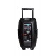 XLine NPS-15A Активная аккумуляторная акустическая система с USB/SD/Bluetooth/FM, 100 Вт