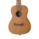 Ortega RUTI-CC Timber Series укулеле концертный