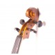 Gliga B-V034 Beginer Genial 2 Nitro Скрипка 3/4