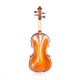 Gliga B-V034 Beginer Genial 2 Nitro Скрипка 3/4