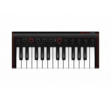 IK Multimedia iRig Keys 2 Mini USB MIDI-клавиатура для Mac и PC, 25 клавиш