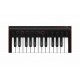 IK Multimedia iRig Keys 2 Mini USB MIDI-клавиатура для Mac и PC, 25 клавиш