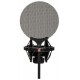 SE Electronics X1 S Studio Bundle набор студийный: микрофон X1 s, фильтр, комплект Isolation Pack