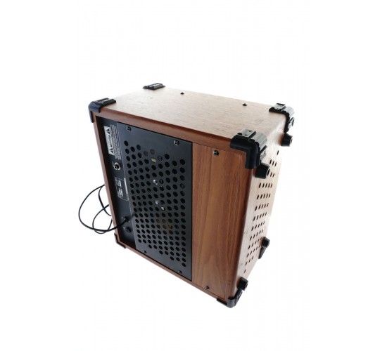Dinosaur AG-30V ламповый комбоусилитель USED