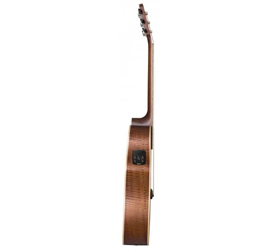 Baton Rouge T22S/ACE электроакустическая гитара