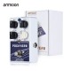 Ammoon Pockverb Reverb/Delay гитарный эффект