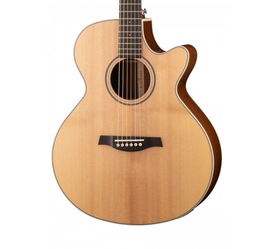 Parkwood S27-GT электроакустическая гитара, с вырезом, с чехлом, глянец