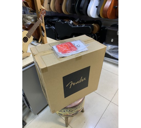 Fender Champion 40 гитарный комбоусилитель, питание 110V USED