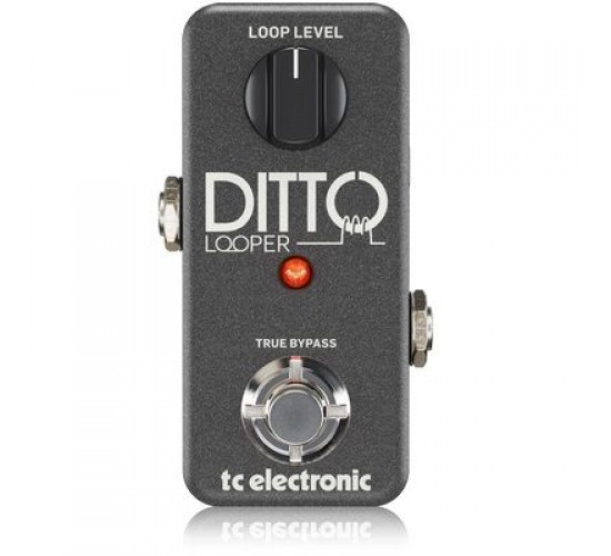 TC Electronic Ditto Looper гитарная педаль эффектов, выставочный образец