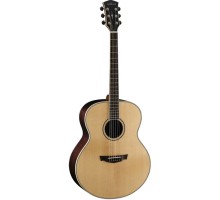 Parkwood PW-540 NAT акустическая гитара с чехлом, цвет натуральный лак