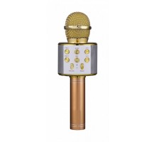 FunAudio G-800 Gold беспроводной микрофон, цвет золото